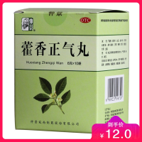 仲景 藿香正气丸 6g*10袋/盒