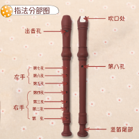天鹅(Tian E)儿童竖笛8孔学生用练习老师教学成人初学演奏高音c调德式笛子