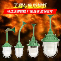 防爆LED灯 220V 60W