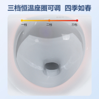 湯川秀樹 智能马桶 中小户型专用 小尺寸全自动家用一体式250-400mm坑距 即热遥控自动冲水烘干智能坐便器