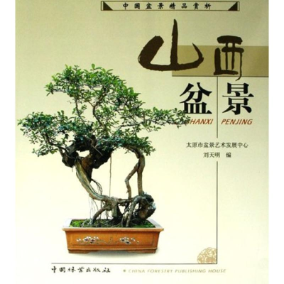 [M]山西盆景/中国盆景精品赏析系列-9787503841774