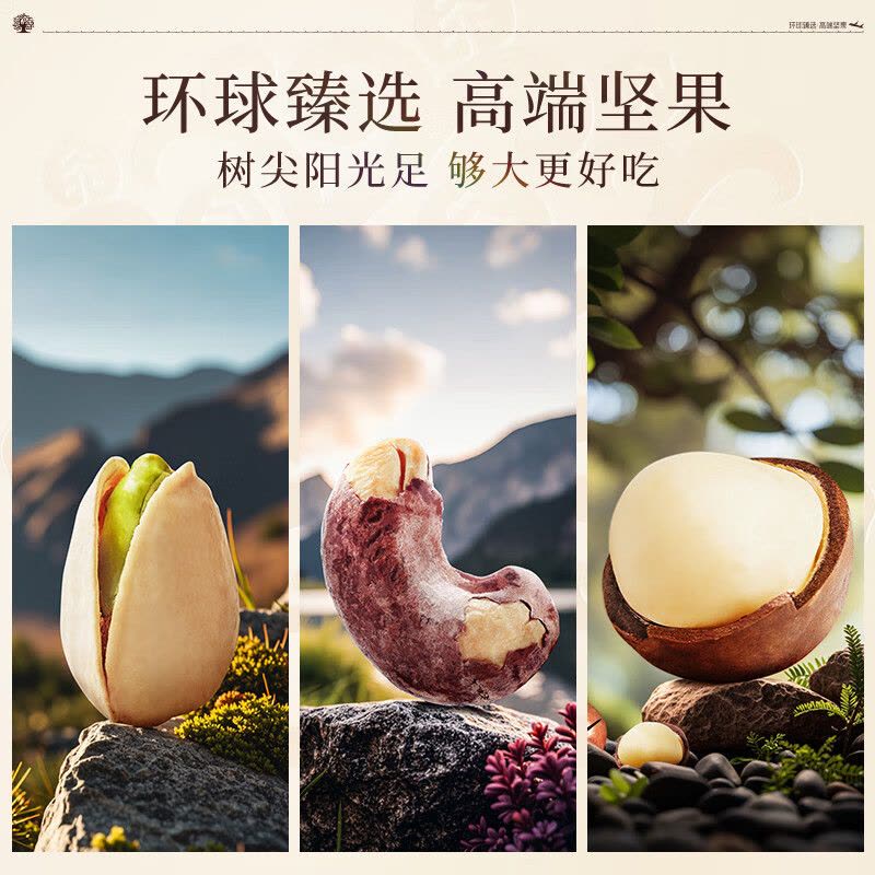 臻味 环球茗果 坚果礼盒 1.97kg 盒图片