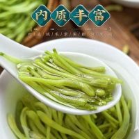 [新人特惠]金银花 25g/罐 1罐装 精选金银花 当季新鲜新货