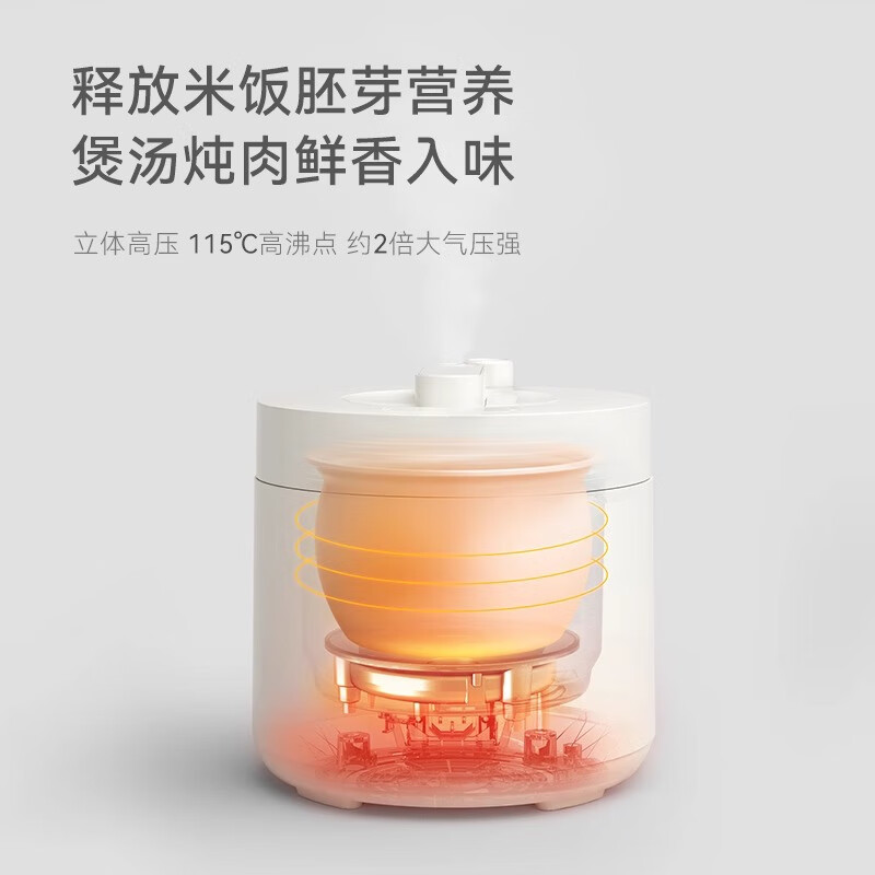 OLAYKS 立时智能电压力锅 HY-254DA 2L 白色按键控制四位数码显示单胆设计2-4人用高清大图