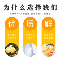 林家铺子什锦水果罐头350g*6罐玻璃罐装新鲜水果经典口味