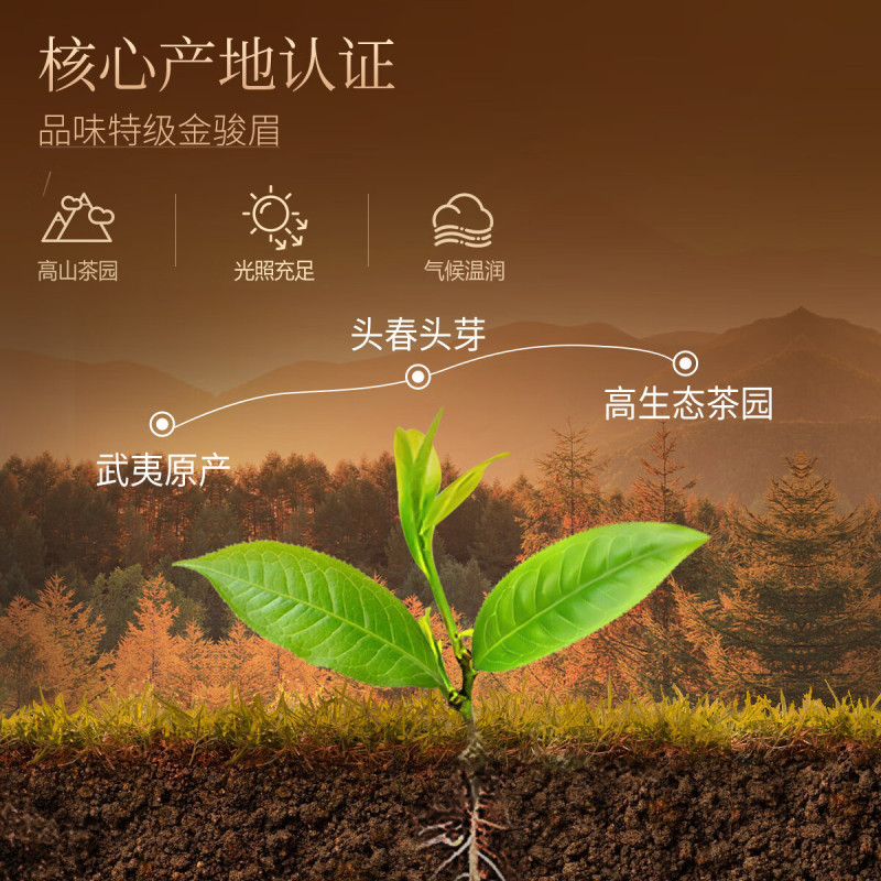 忆江南 龙凤呈祥尊礼金骏眉礼盒300g
