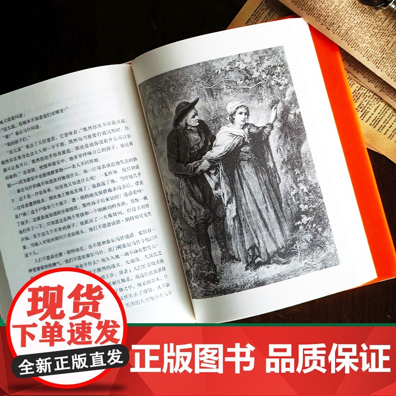 雨果精选集:九三年雨果经典作品名家译本精美插图丰富赠品外国热门小说世界名著豆瓣高分图书正版书籍译林出版社店高清大图