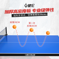 健伦(JEEANLEAN)彩虹腿赛事级乒乓球桌专业比赛球台25MM厚面板 PPQZ-SN370