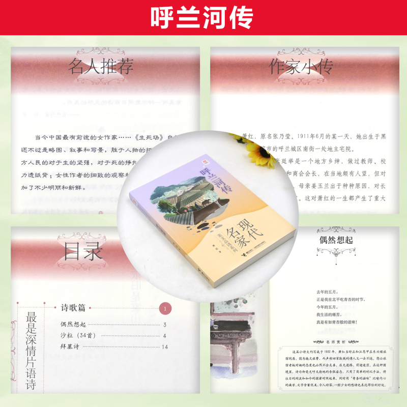 呼兰河传 [正版]2023潍坊市暑期青少年读书行动五年级全套林汉达中国历史故事集(珍藏版)写给身边的你今天我是升旗手呼兰