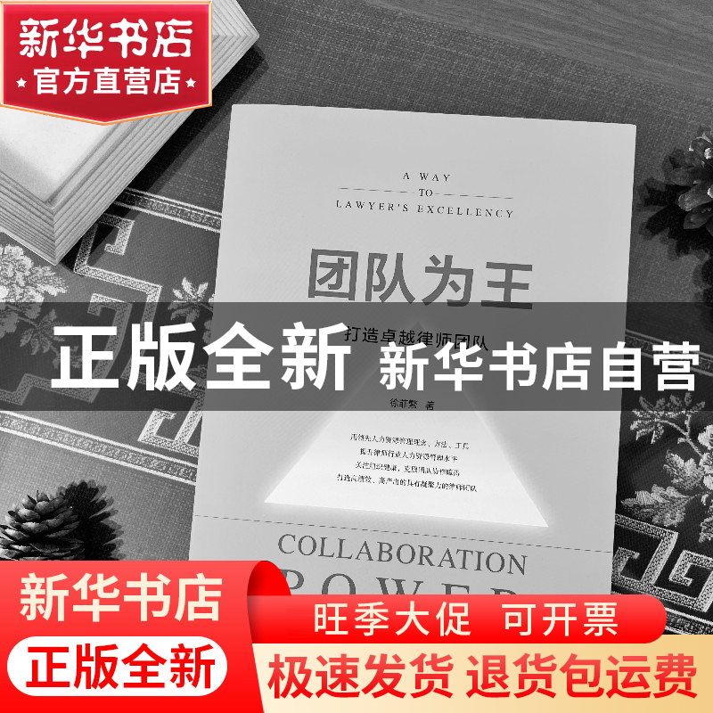 正版 团队为王:打造卓越律师团队:a way to lawyer’s excellenc高清大图