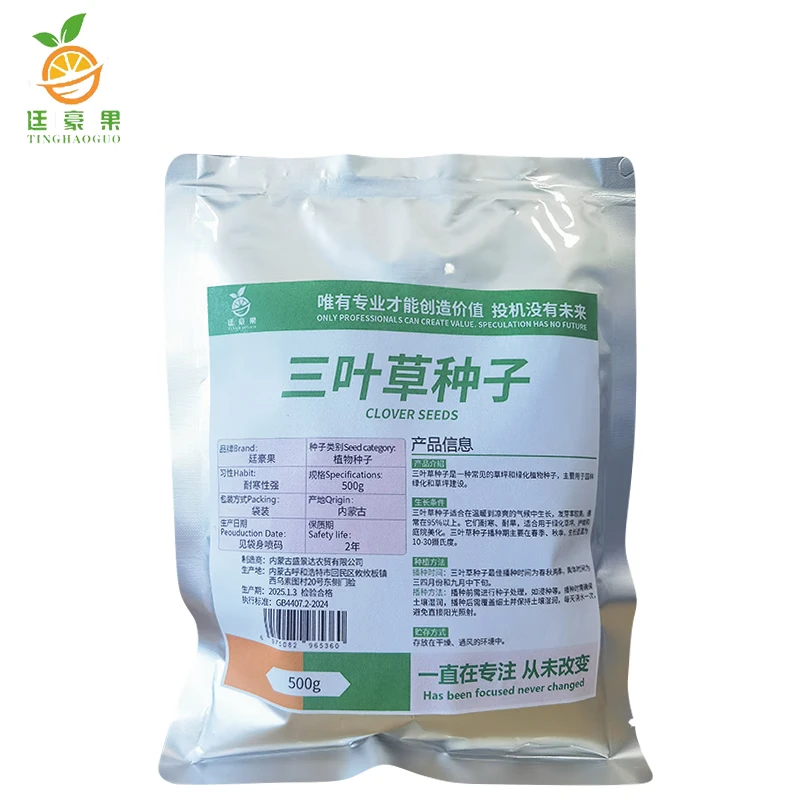 廷豪果 三叶草种子 净籽 500g/袋