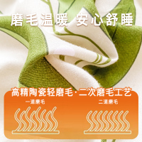 家用冬季加厚保暖磨毛四件套床上用品冬天学生宿舍床单被套冬季棉四件套