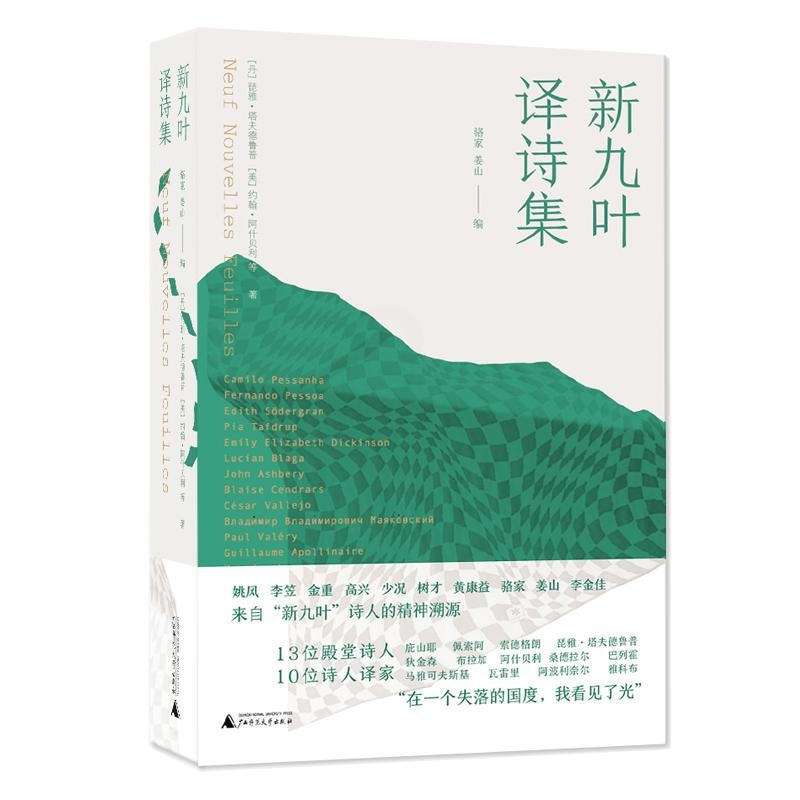 [正版] 新九叶译诗集 琵雅·塔夫德鲁普 等著 收藏200年世界诗歌精华 狄金森 佩阿索 诗人 外国诗歌诗词小说高清大图