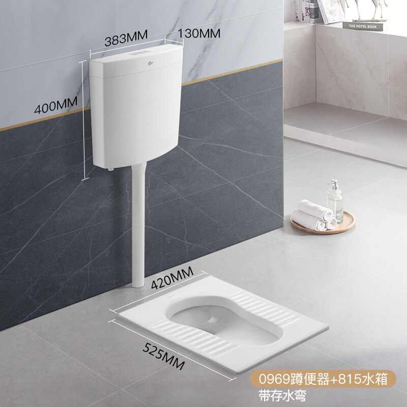 [官方配送]东鹏卫浴(DONG PENG)蹲便器水箱套装卫浴整套 蹲厕便盆防臭马桶便池 节水陶瓷套装