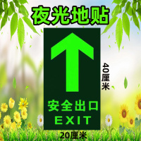 水龙珠(SHUILONGZHU)标识牌自发光pvc箭头耐磨地贴墙贴200*400标识（一包5个装）花色可联系客服选配