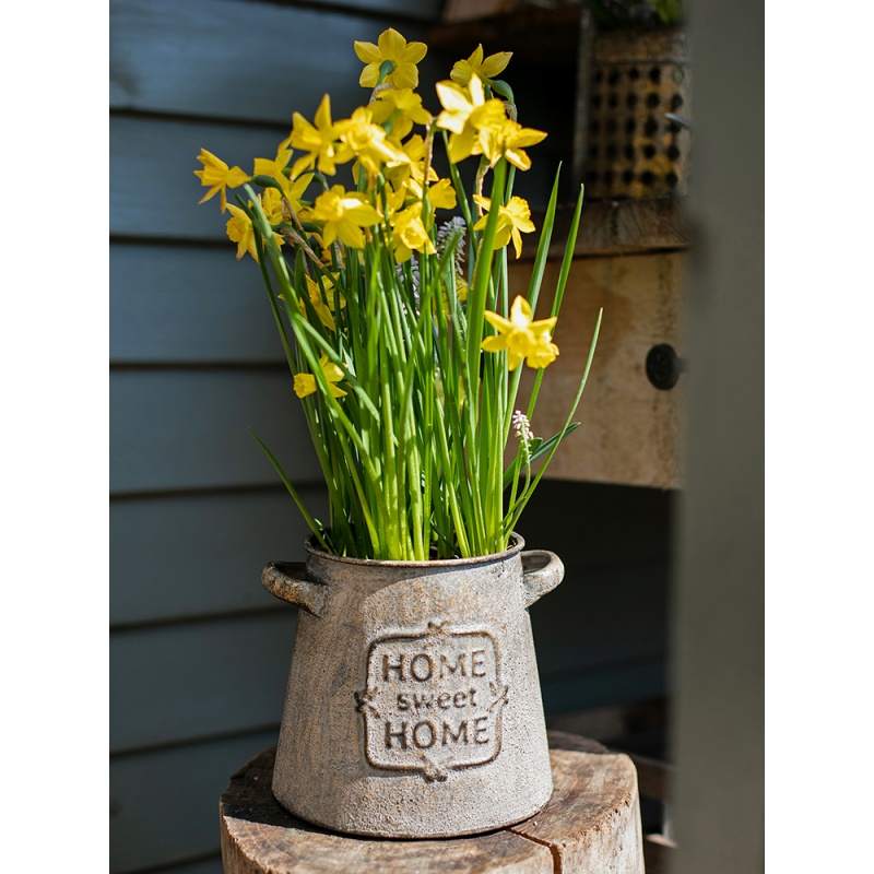 美帮汇复古铁皮花桶花器 干花铁桶花盆花瓶花店摆件插花杂货花园高清大图
