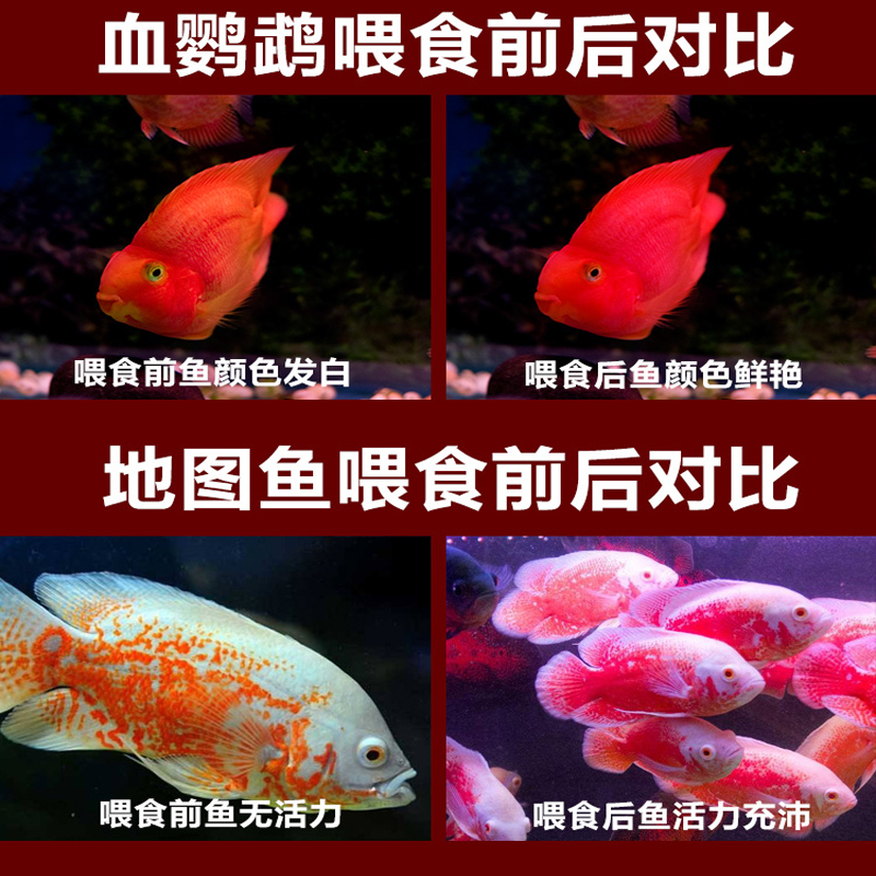 血鹦鹉鱼饲料增红鱼食增色小颗粒鱼料热带鱼观赏鱼锦鲤鱼金鱼鱼粮高清大图