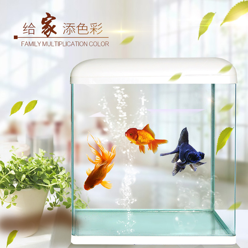 观赏鱼缸客厅小型玻璃生态桌面金鱼缸造景懒人免换水家用水族箱高清大图