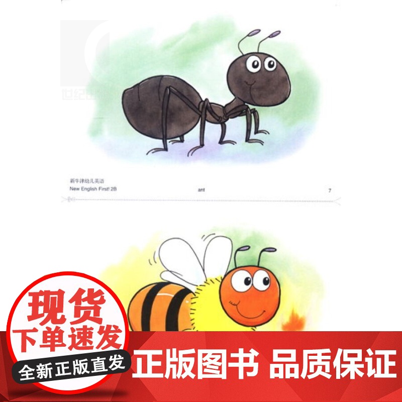新牛津幼儿英语2B English First 卡片 书籍 幼儿启蒙 学前教育 教材 正版图书籍 世纪外教 世纪出版高清大图
