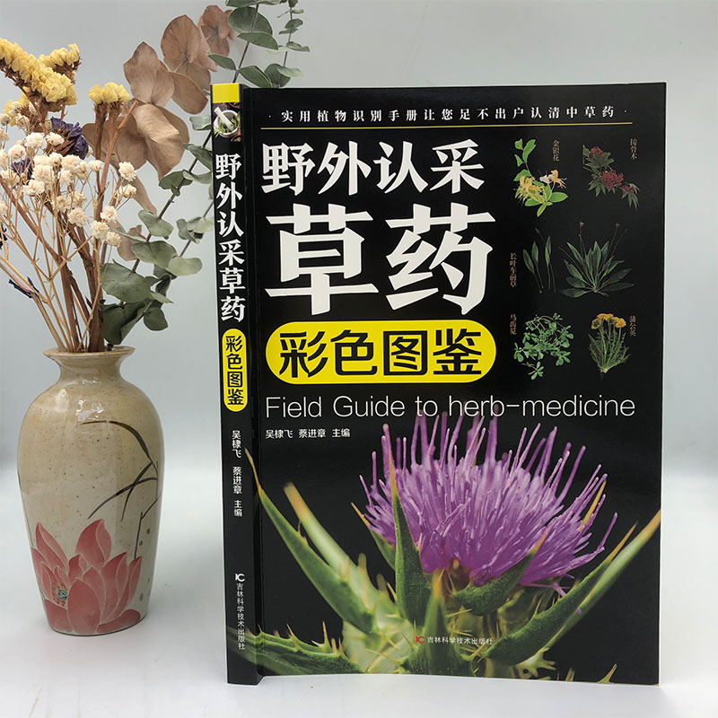 [正版]野外认采草药彩色图鉴图解中华汉方快速认药彩图全套中草药学野外识别应用彩色图鉴中草药彩图大全图解版草药材识别入门高清大图