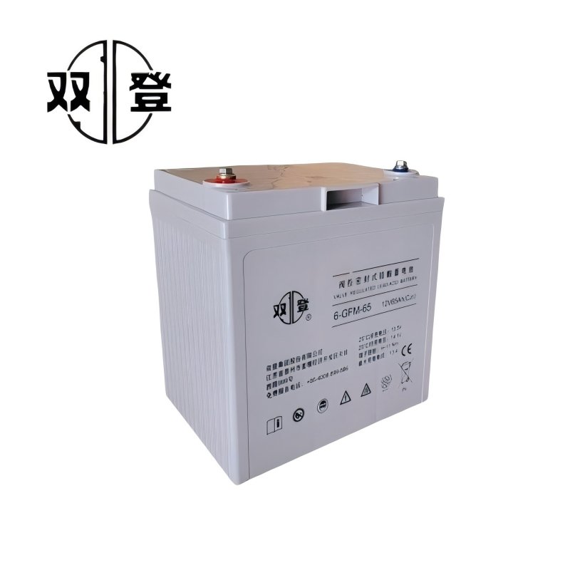 双登阀控密封式铅酸蓄电池6-GFM-65高清大图