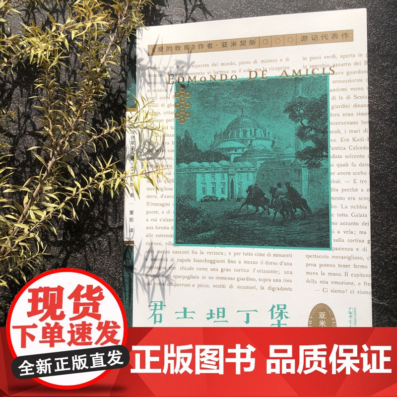 君士坦丁堡 (意)埃德蒙多·德·亚米契斯 /著 董能/译 君士坦丁堡 伊斯坦布尔 游记 博斯普鲁斯 广西师范大学出版社高清大图