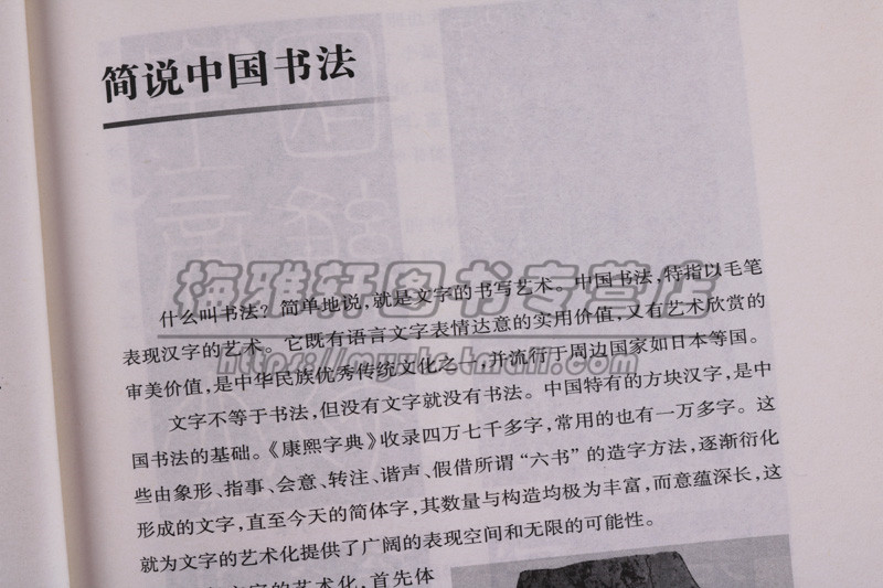 [醉染正版]扬州艺术丛书(七册) 扬州市文学书法民间工艺琴筝艺术清曲昆曲文集思想当代现代学术发展艺术形态意义清代学派名人高清大图