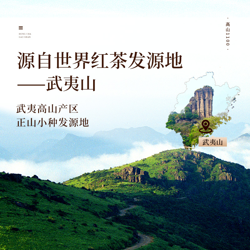 [元正]茶颜高山1100 红茶特级正宗武夷山小种红茶罐装武夷红茶茶叶 1罐 50g/罐高清大图