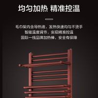 恒洁(HeGII) 毛巾架电热毛巾架