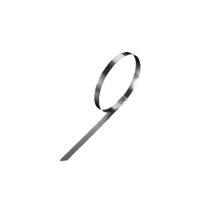 斯赞 304不锈钢扎带自锁式捆绑扎带 4.6*200mm 根高清大图