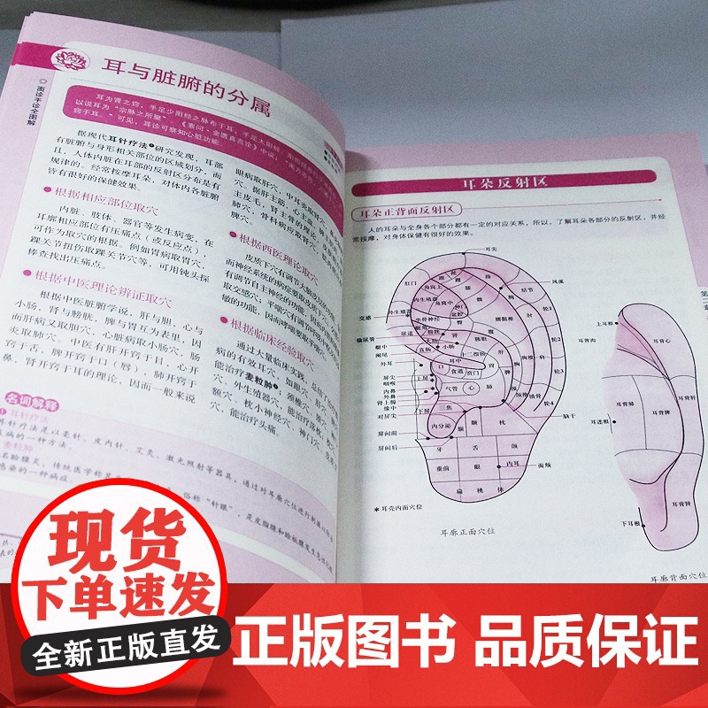 面诊手诊全图解 学面诊手诊舌诊脉诊图解书 中医基础理论诊断入门书籍 掌纹图解中医手疗养生调理书 中医诊断自学教程面诊手诊高清大图