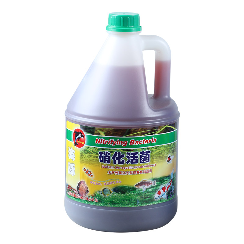 硝化菌大桶锦鲤鱼池净水细菌水族鱼缸水池水质稳定净水除氯高清大图