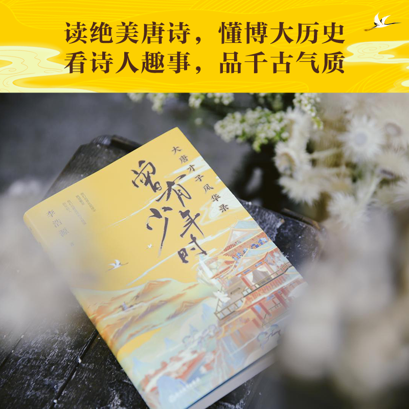 [正版]曾有少年时 李浩源的书 读唐诗懂历史书 大唐才子风华录 图书 书籍 天天向上 中国古诗词之美 戴建业魔性课高清大图