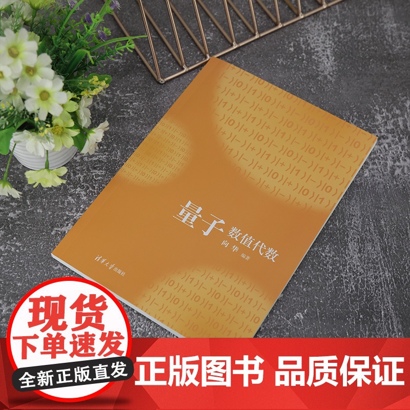 [正版新书] 量子数值代数 向华 清华大学出版社 信息与计算科学数学类教材高清大图