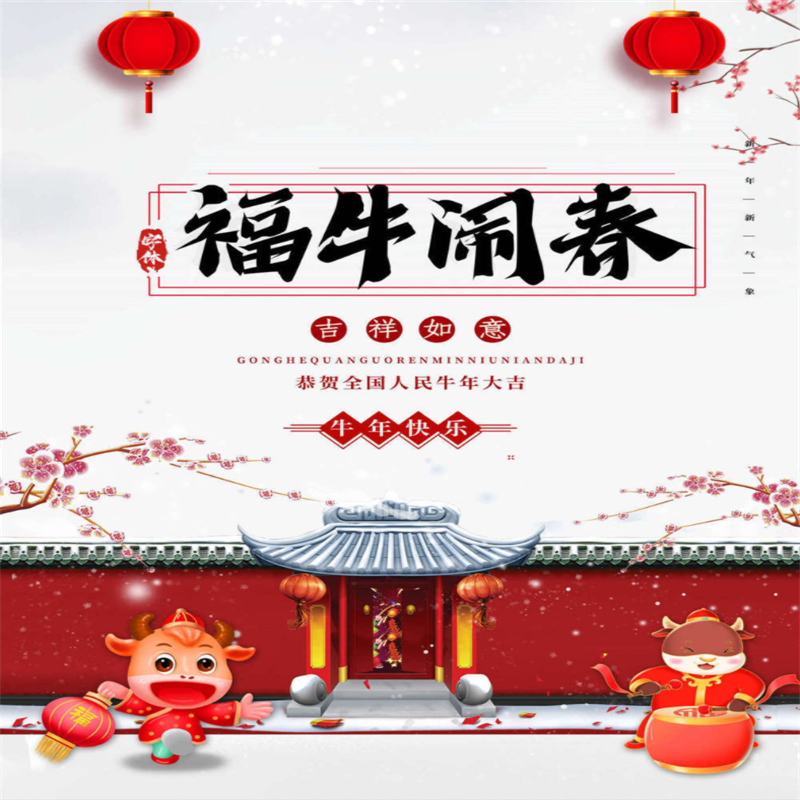 春节福字装饰静电贴 20片装图案随机 新年装饰福字贴 单包价