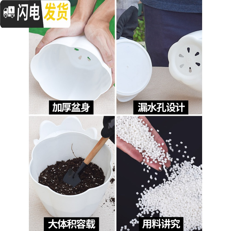 三维工匠大号加厚塑料花卉多肉花盆家用园艺种莓苗大盆栽绿萝花盆送托盘 加厚南瓜花盆混色2个装 大花盆容器