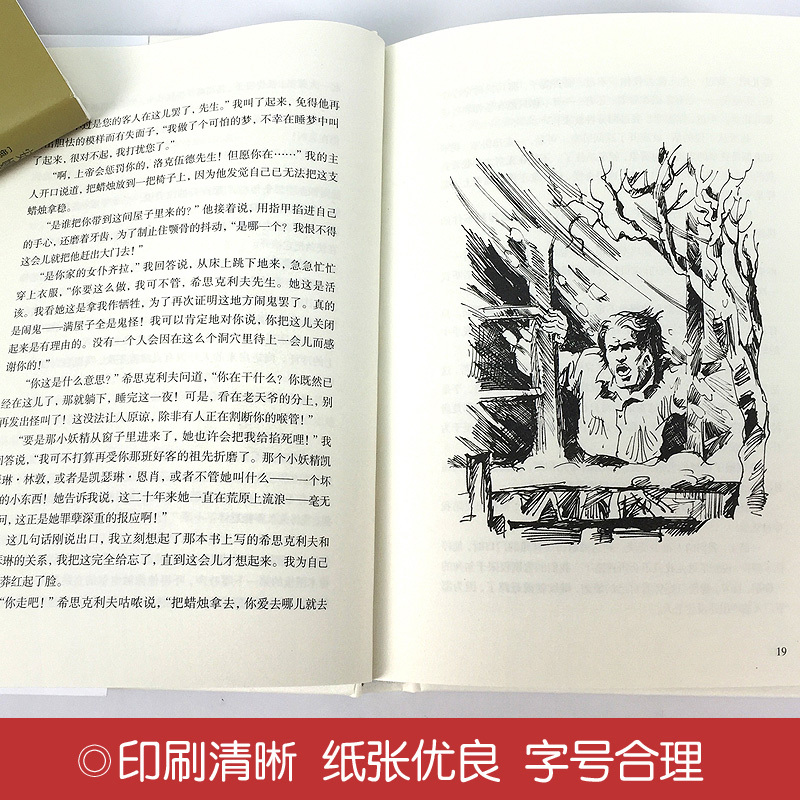 [正版]呼啸山庄精装版艾米莉·勃朗特 无删减 世界经典文学名著 文学书籍 学生青少年课外阅读 呼啸山庄(中文版)