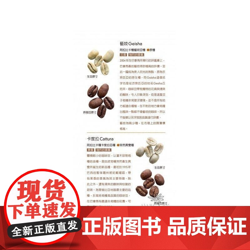 []Coffee Hunting Note 100 寻啡猎瘾手札 川岛良彰 手冲咖啡入门到精通咖啡基础知识历史与文高清大图