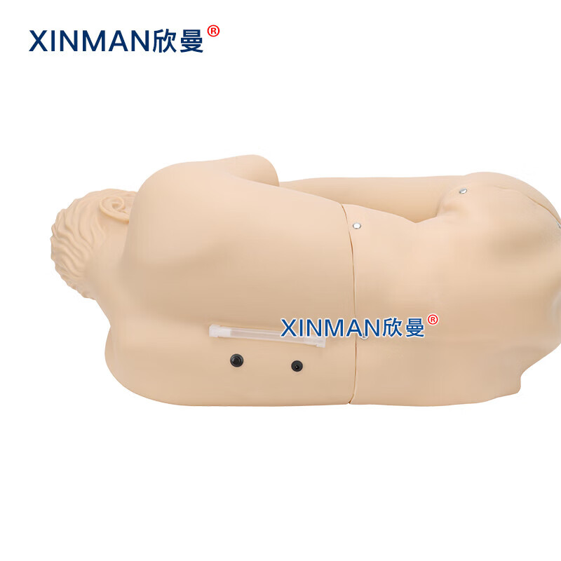 欣曼科教 腰椎穿刺模拟人 教学用腰椎穿刺训练模型XM-YC02高清大图