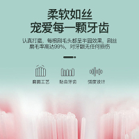 荣事达电动牙刷家用软细毛充电式超声波防水美白全自动女简约白电池款(1刷头+1节电池+1档位)