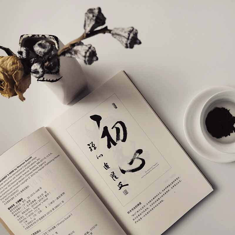 [M]禅者的初心-9787807001775高清大图