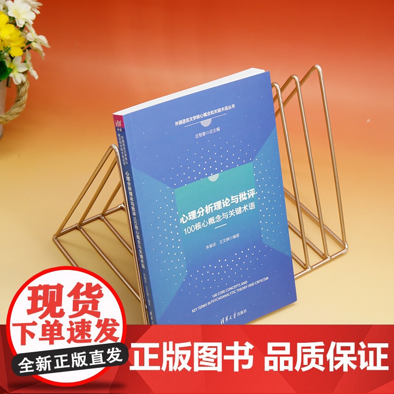 [正版新书]心理分析理论与批评100核心概念与关键术语 朱振武、王文娴 清华大学出版社 心理分析理论高清大图