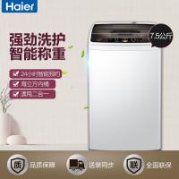 海尔（Haier）EB75M29 7.5KG公斤 波轮 全自动 洗衣机波轮 大容量 家用宿舍 婴儿儿童小洗衣机
