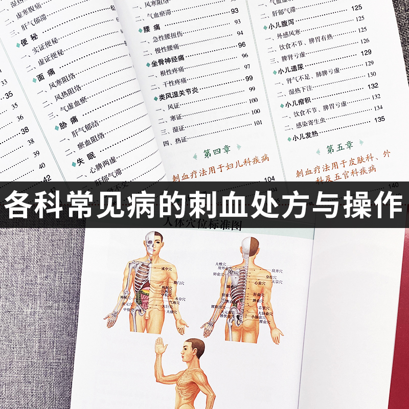 [7册]刺血治病 找穴取穴 人体经络 食疗等书 [正版] 刺血治病一本通 图解人体经络穴位刺血疗法书 中医常见疾病临床诊