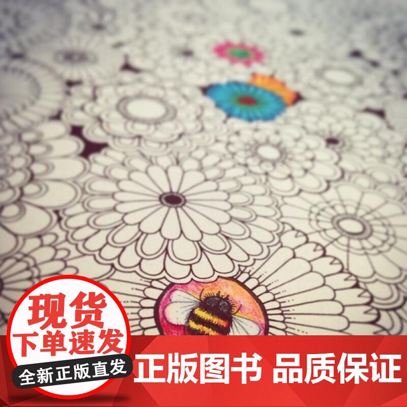 秘密花园 英乔汉娜贝斯福JohannaBasford北京联合出版公司高清大图