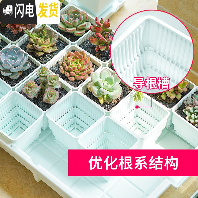 三维工匠控根多肉花盆套装组合塑料创意个性简约透气北欧风肉肉小盆器 黑托+12个黑盆(7cm盆) 中小花盆容器