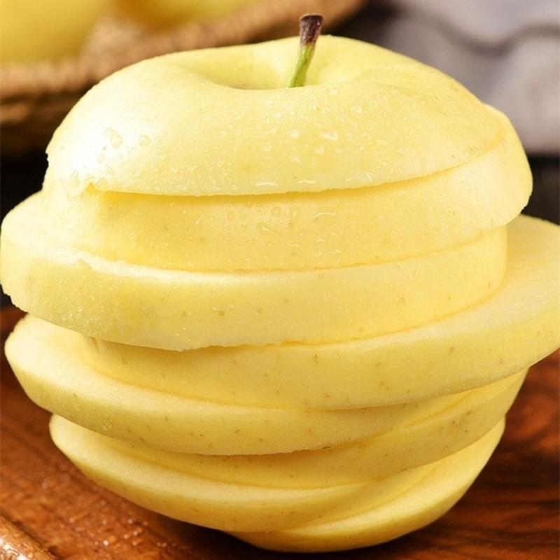 赛卡伊辽宁黄元帅苹果新鲜黄金帅苹果水果10甜粉婴儿刮泥面黄蕉5斤