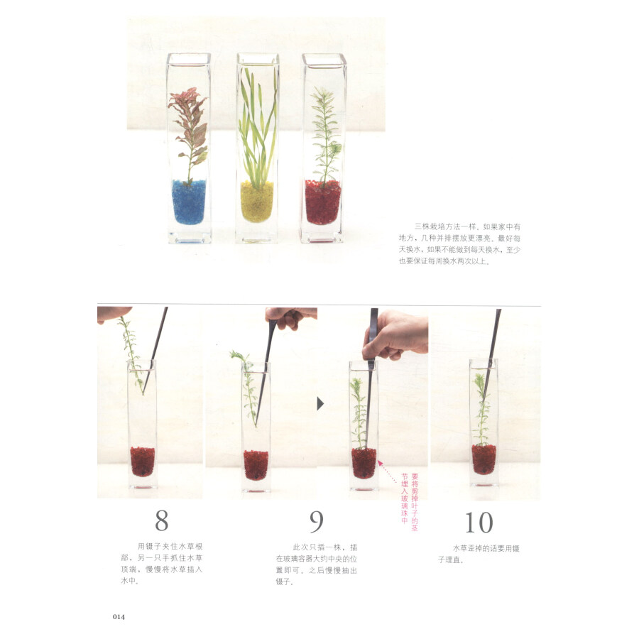 [醉染正版]正版学做家庭植物微景观 美植·美家 养花的书花园设计装修教程 花卉植物绿化植盆栽造景设计私家庭院室内园艺素材高清大图