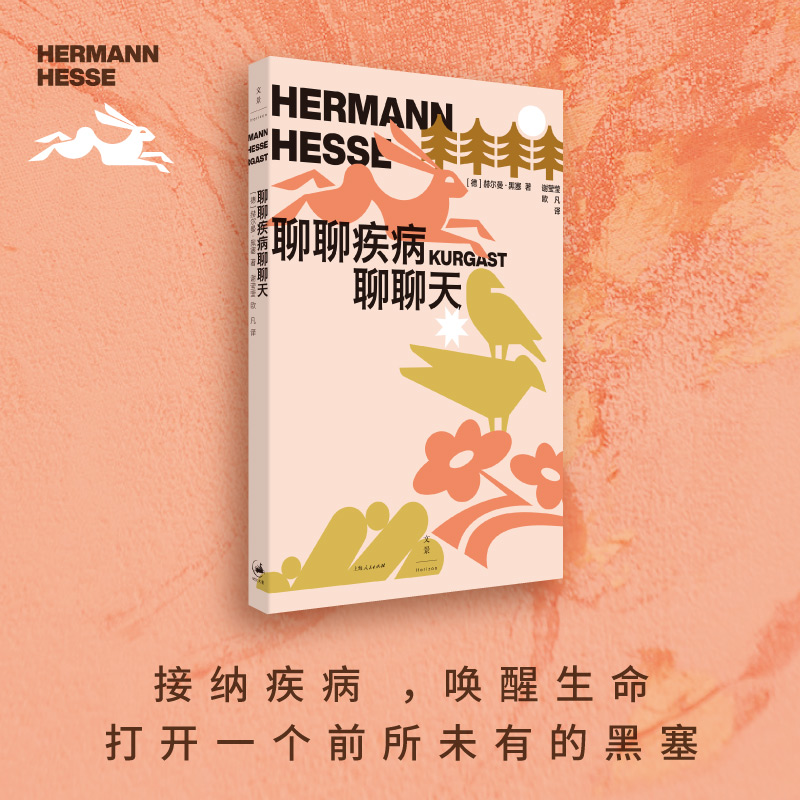 聊聊疾病聊聊天 [正版]聊聊疾病聊聊天 2024百班千人暑期书目赫尔曼黑塞名著世纪文景文学散文诺贝尔文学奖得主德国散文图高清大图