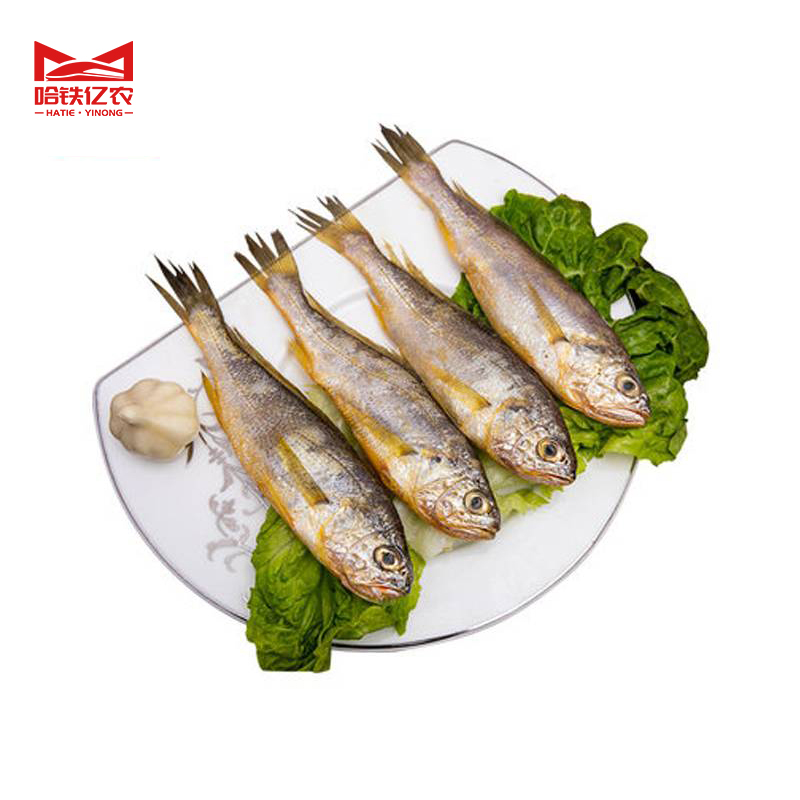 哈铁亿农 黄花鱼1kg/袋高清大图
